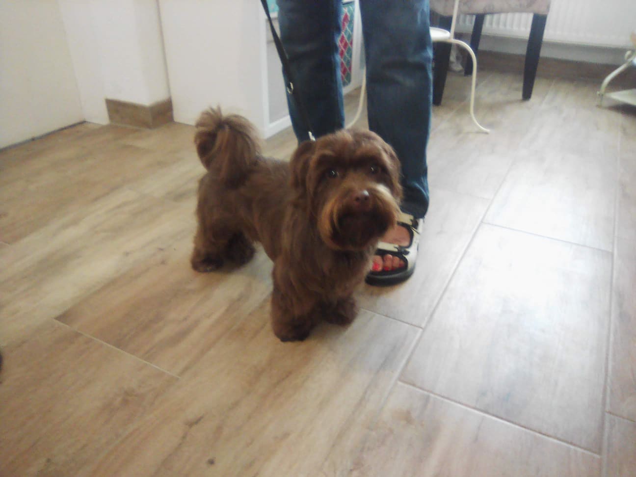 267014538_438348034460172_7157311429416618337_n